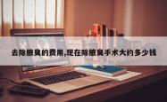 去除腋臭的费用,现在除腋臭手术大约多少钱